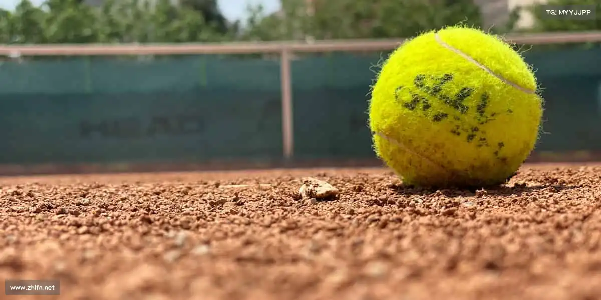 行业领先的理由